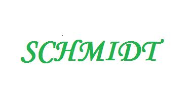 8234 SCHMIDT-德國-施密特
